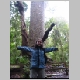 Northland Trip 006.jpg